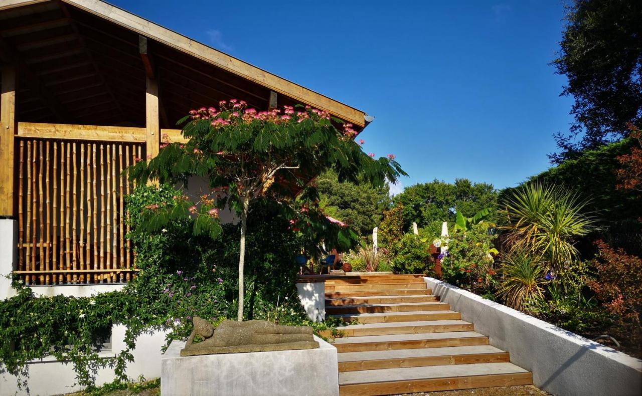 Villa Hossegor - 4 Etoiles, 6 Chambres - 5 Salles De Bains - Piscine Chauffee 5 Mn Des Plages Соортс-Оссегор Екстер'єр фото